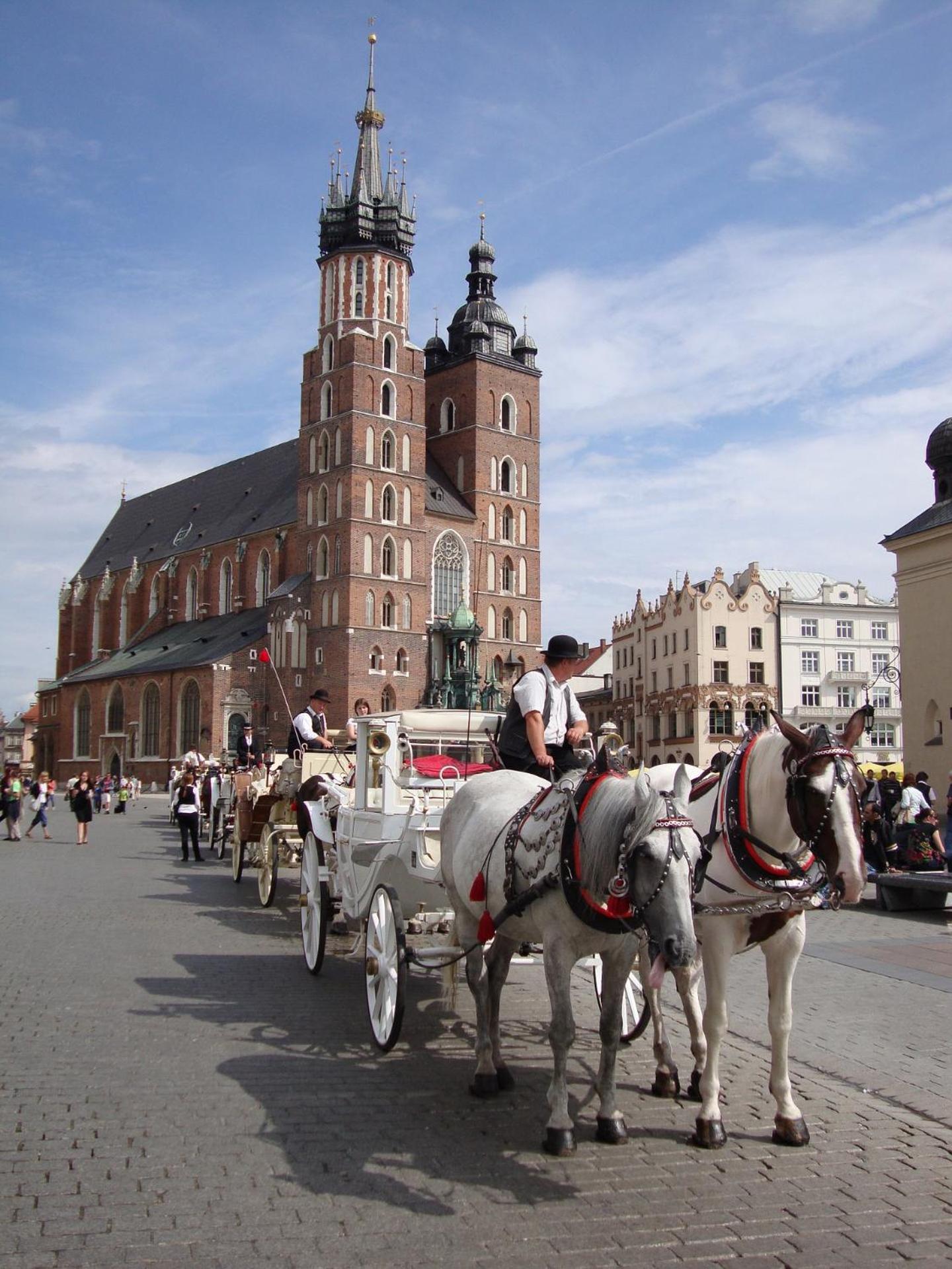 Grey * Krakau
